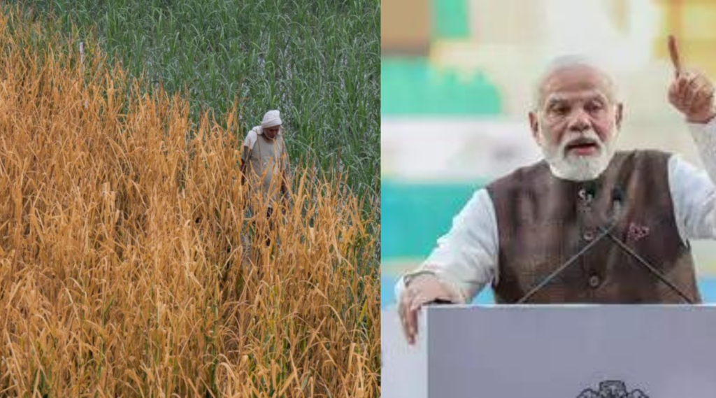 प्रधानमंत्री मोदी